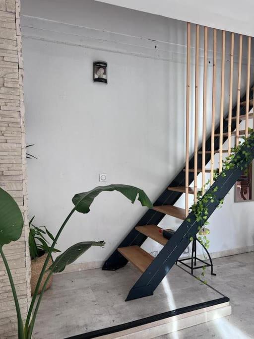 Maison Type 4 Et Jardin Spacieux 西格 外观 照片