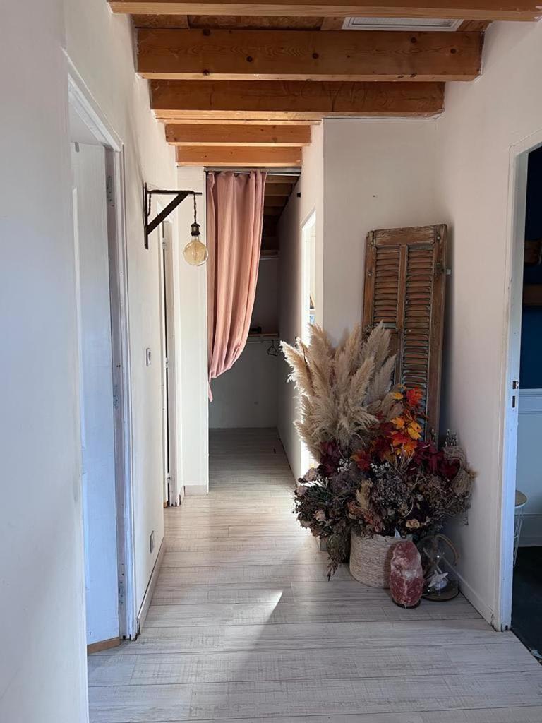 Maison Type 4 Et Jardin Spacieux 西格 外观 照片